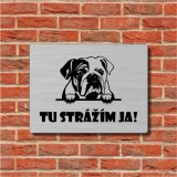 Tabuľka Pozor pes Anglický buldog — výstražná tabuľka na plot 20×15 cm