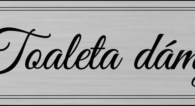 Tabuľka Toaleta Dámy — piktogramová tabuľka na WC pre ženy