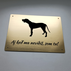 Tabuľka Pozor pes Maďarská vyžla — výstražná tabuľka na plot 20×15 cm