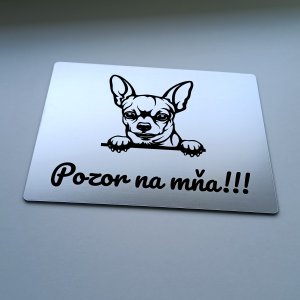 Tabuľka Pozor pes Čivava — výstražná tabuľka na plot 20×15 cm