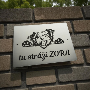 Tabuľka Pozor pes Border kólia cute
