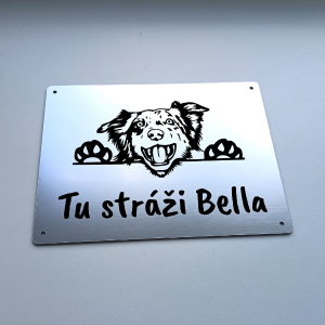 Tabuľka Pozor pes Border kólia cute