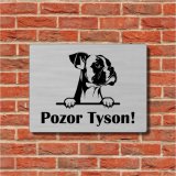 Tabuľka Pozor pes Nemecký boxer — výstražná tabuľka na plot 20×15 cm